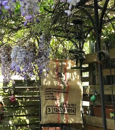 Lejlighed Kamoro Trier